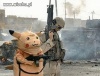 Pikachu atakuje
