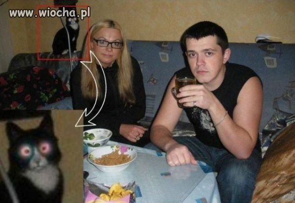 Dawaj mi jesc:p