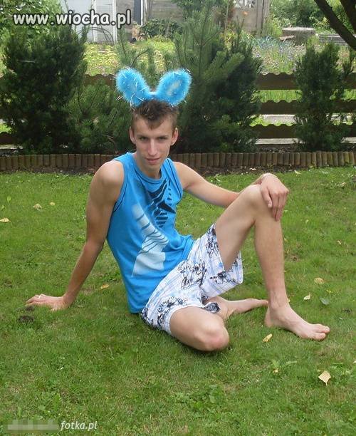 Króliczek playboya