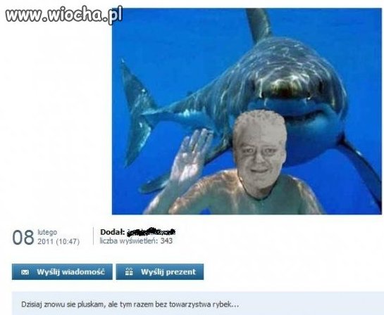 Takie o z rekinem 