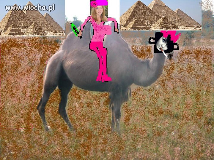 Mistrzyni painta