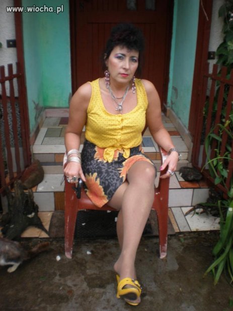 Pani domu