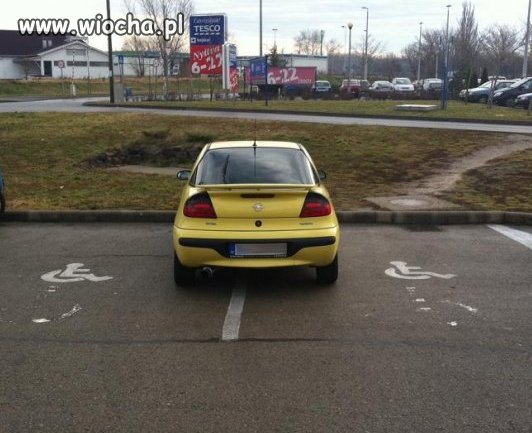 Mistrz parkowania...