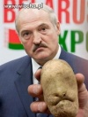 Człowiek prosto z miasta 