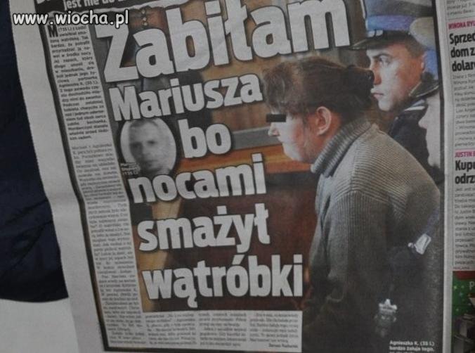 Mój kotek