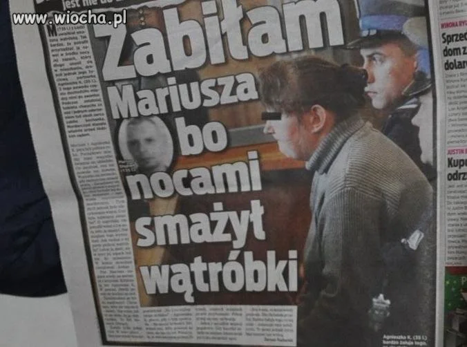 Mój kotek