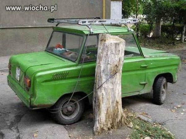 Nie ma to jak przypiąć auto do drzewa