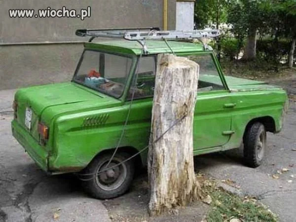 Nie ma to jak przypiąć auto do drzewa