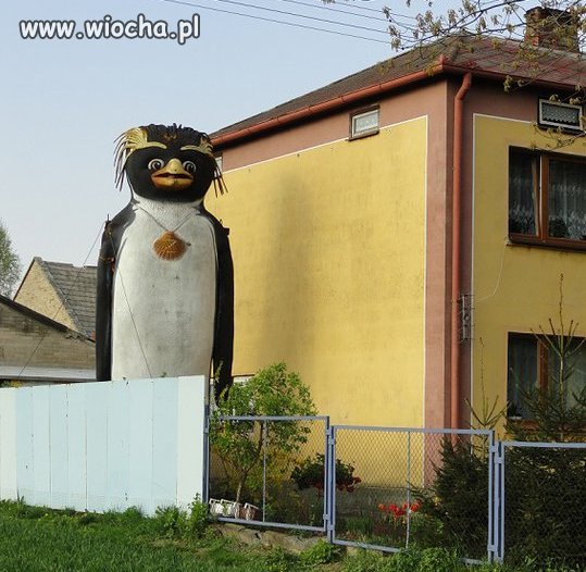 Ja się pytam kto,