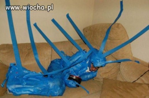 Nie ogarniam tego zdjęcie 