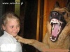 Hahaha...