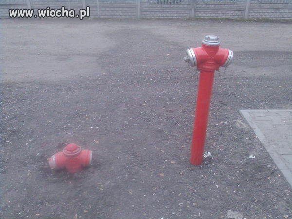 Tylko w Polsce 