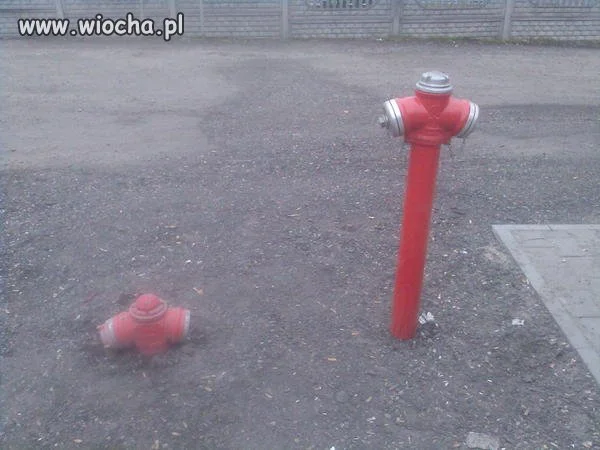 Tylko w Polsce 
