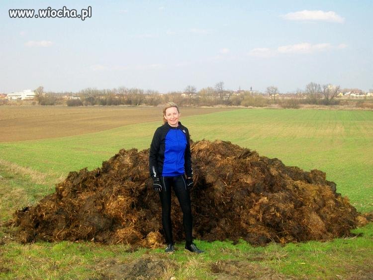 "Kupa" wiochy