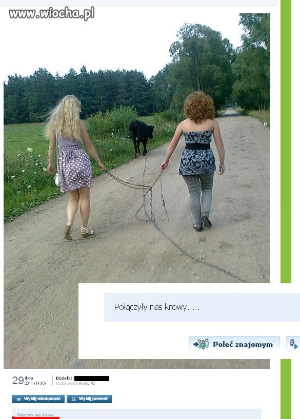 Połączyła nas wiocha