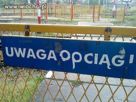 Żywiec..