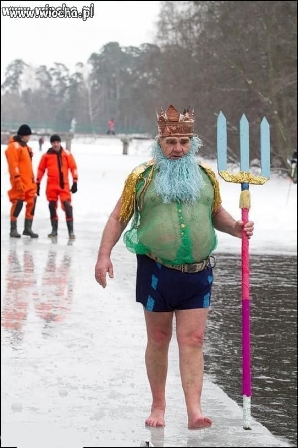 Król-owa?? 
