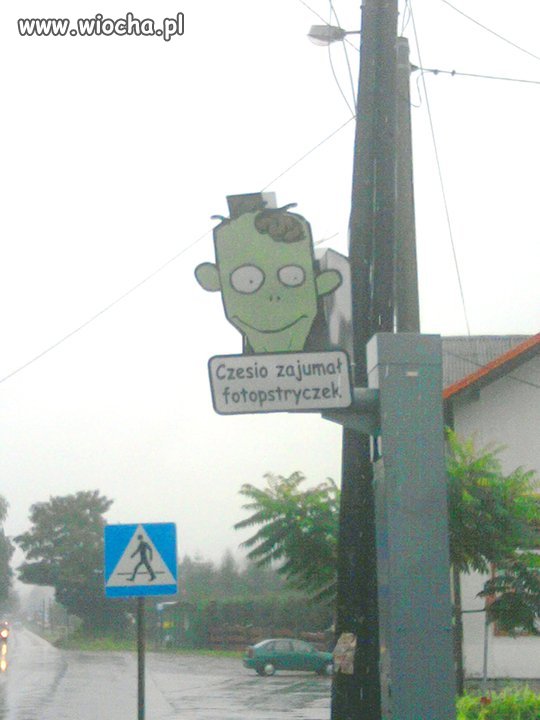Czesio 