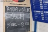 Ryba w...