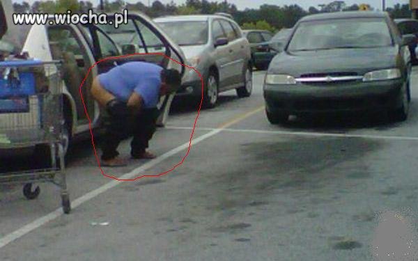 Publiczna toaleta . . . .