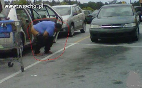 Publiczna toaleta . . . .