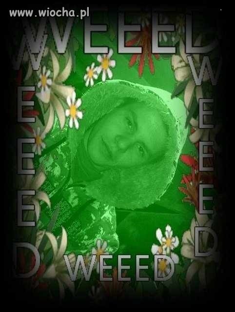 Zdjęcie z serii ,,zielo mi '' 