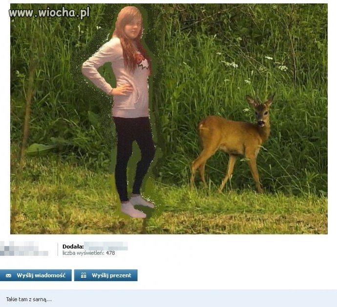Takie tam z sarną