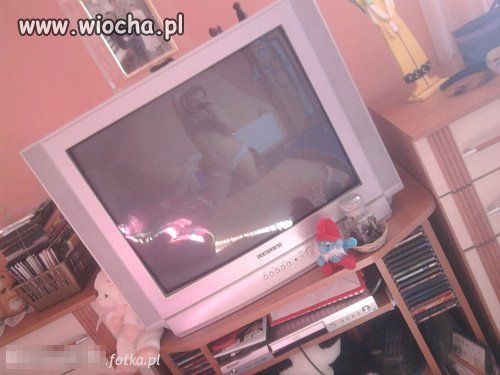 Nowa moda