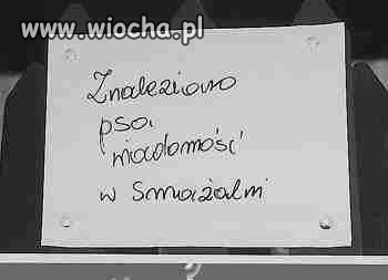 Poszukiwany 
