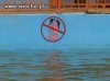 Basenowy zakaz