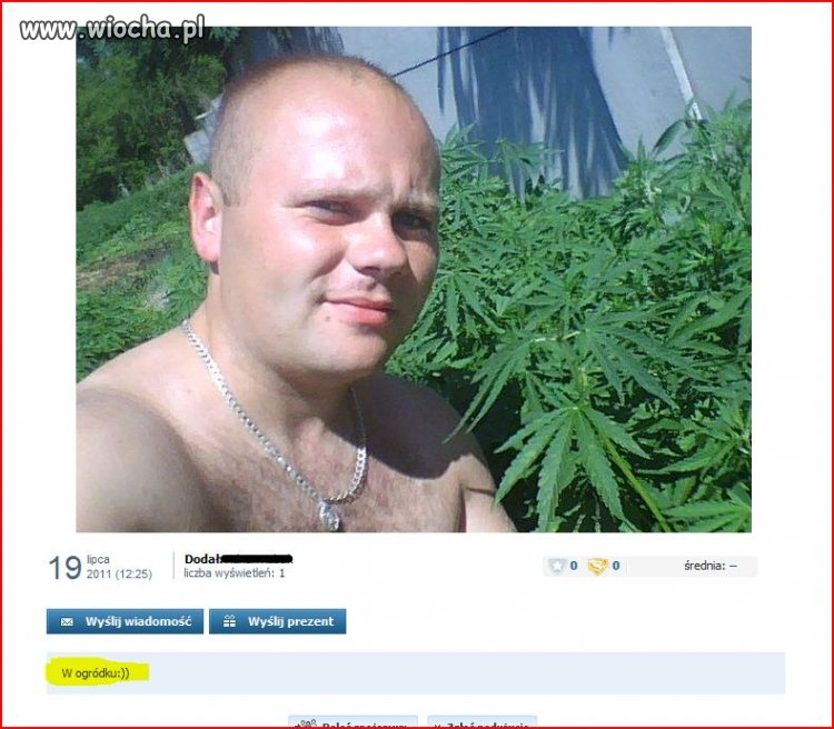 Lansik koło marychy.