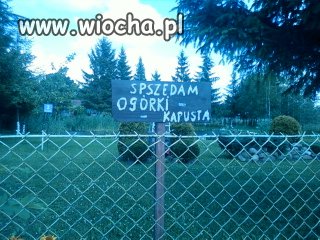 "Spszedam"