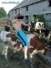 Cowboy