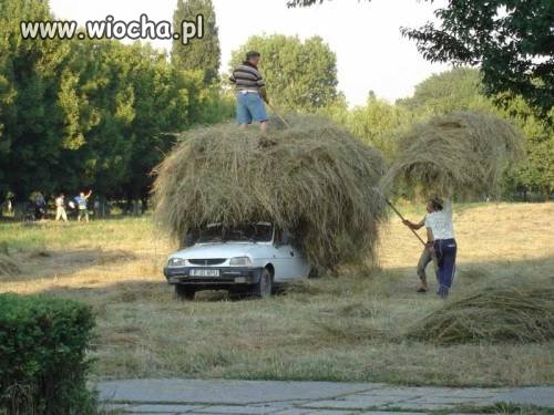 Wszystko Jest Możliwe