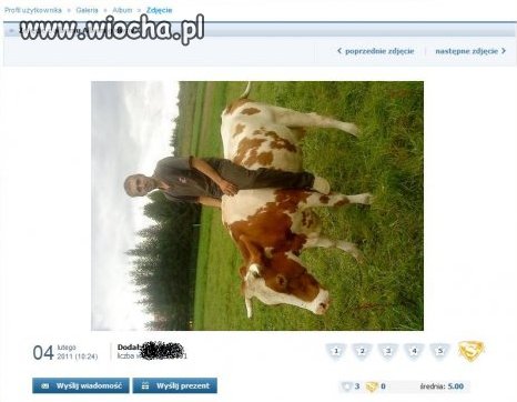 Nie dość ze na krowie... To jeszcze w pionie...