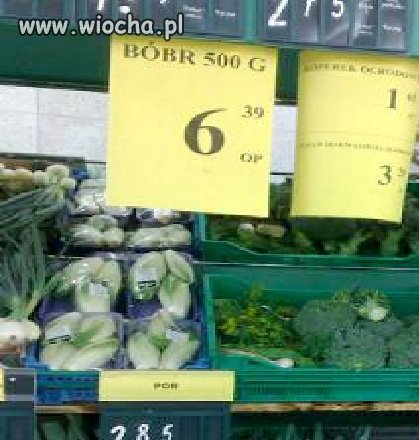 Bóbr na dziale warzywnym.