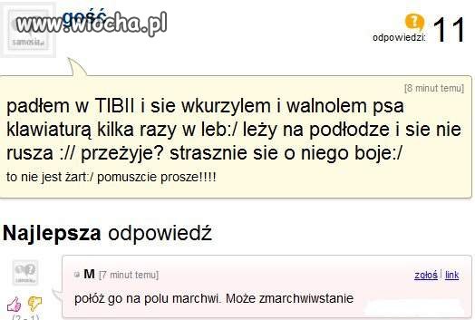 Ludzie są po prostu żałośni 