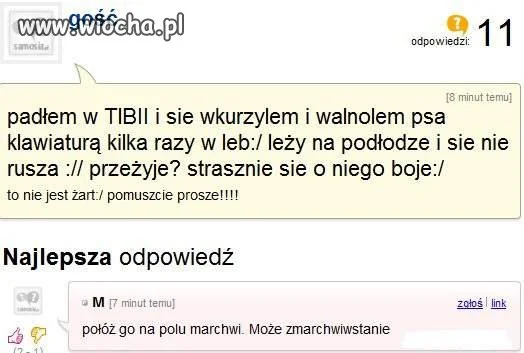 Ludzie są po prostu żałośni 
