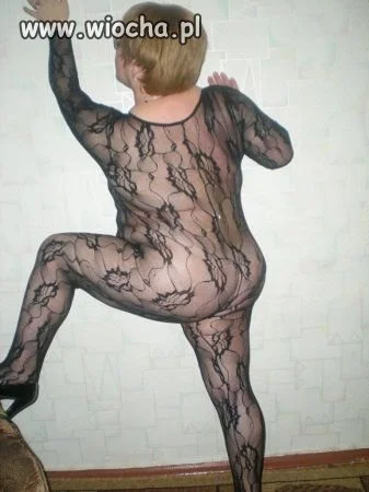 Kocica