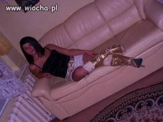 Kot w butach