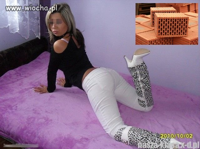 Kiedyś "pustakiem" nazywane były cegły