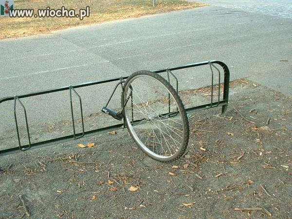 Każdy pomysł jest dobry 