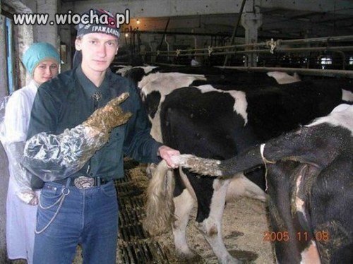 Mam "kupę" roboty