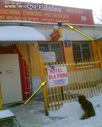 Nie ma to jak dobry bar