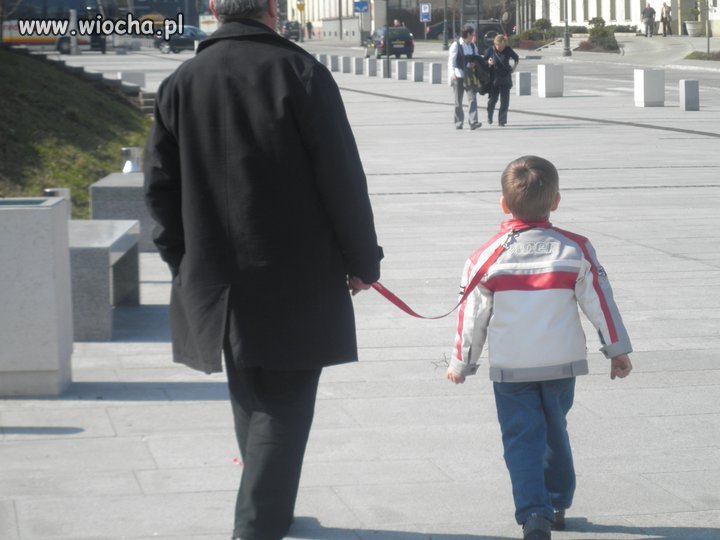 Od dziś dzieci na smyczy nie psy!