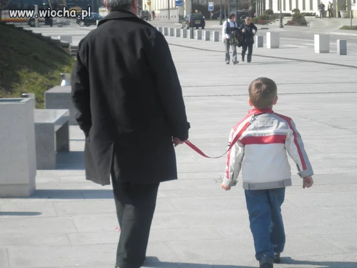 Od dziś dzieci na smyczy nie psy!