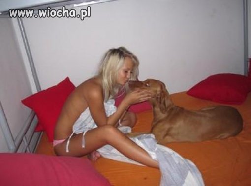 no coment