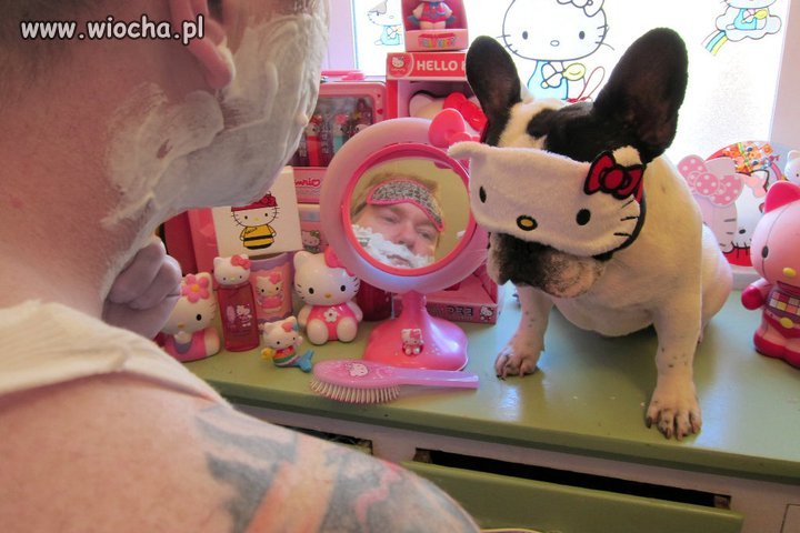 Fan Hello Kitty