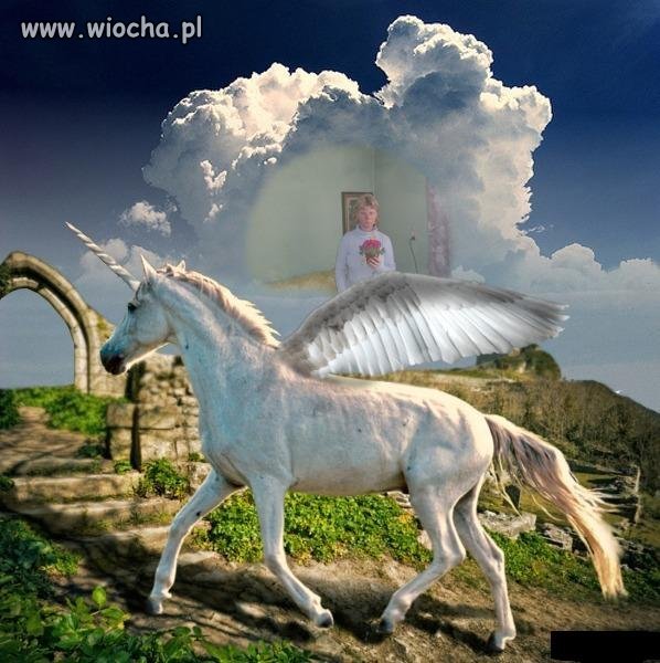 Hmmm w galerii 200 podobnych zdjęć 