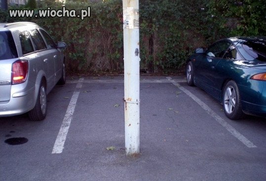 Tu tu masz wolne